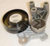 SPIDAN 70107 Tensioner Lever, v-ribbed belt